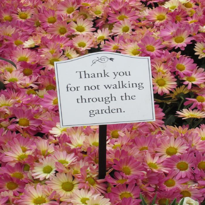en_Sometimes well intended messages sound a bit strange to the recipients. Faster IT can help you communicate what you really meant and ensure the message gets across..jpg